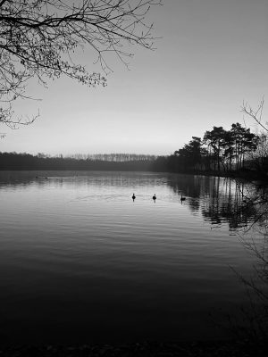 Lake_1_c. Lillian Stillwell_SW